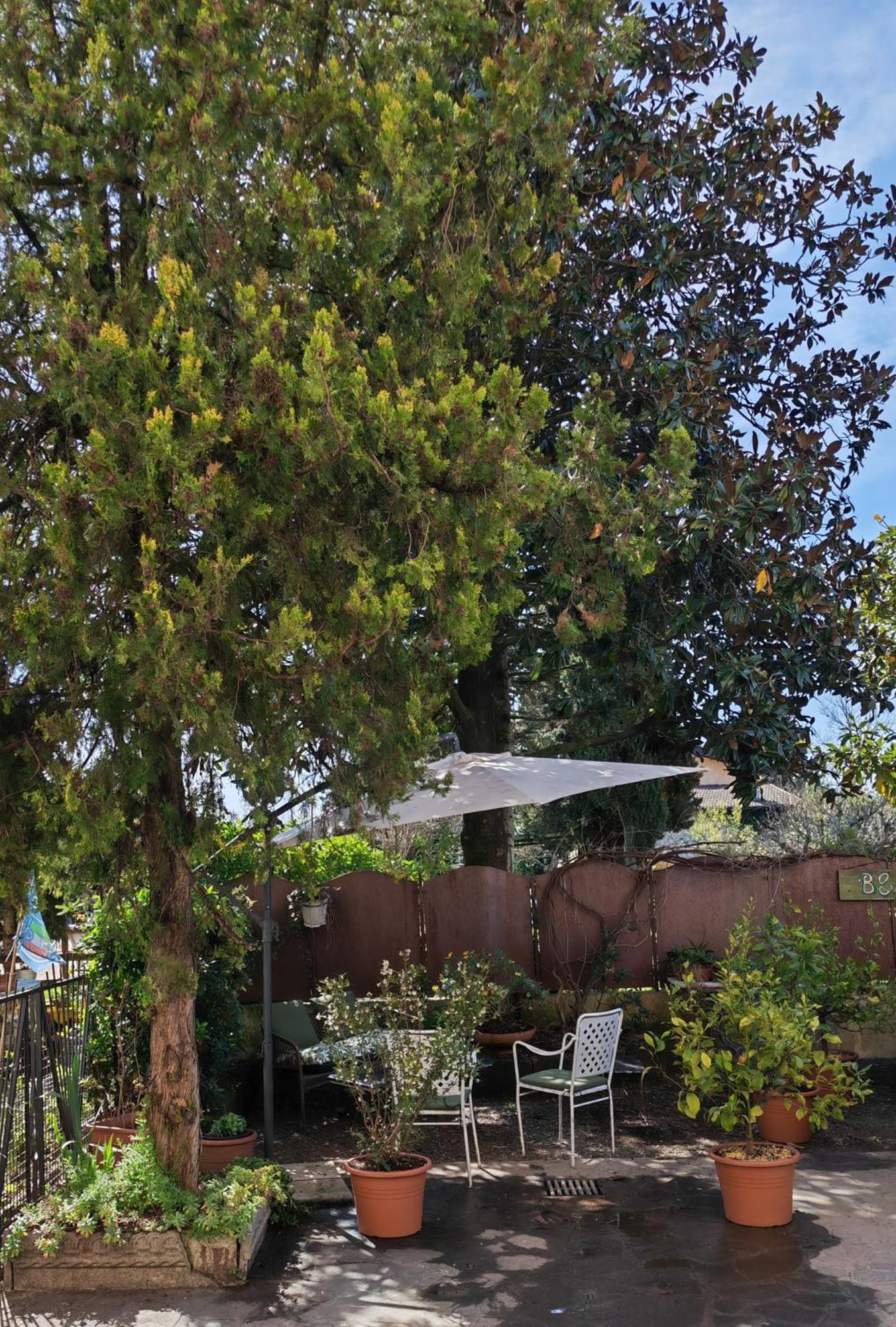 B&B Lamagia Di Corte Moronati シルミオーネ エクステリア 写真